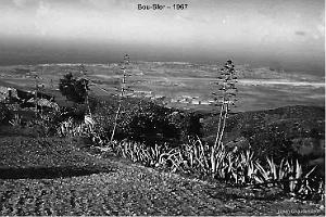 143- BIS AERODROME-ET-BASE-1945-1962-27-  (10) BOU SFER